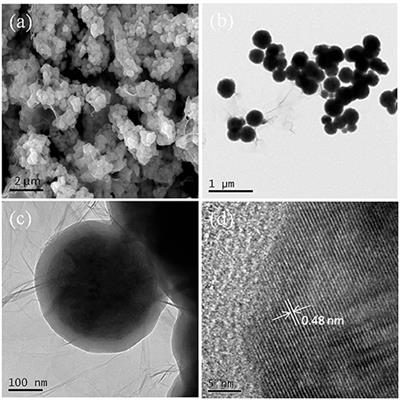 Comparative Study on the Regeneration of Fe3O4@Graphene Oxide Composites